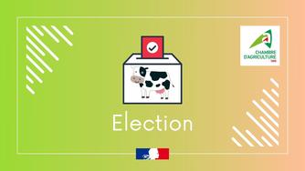 élection chambre d'agriculture